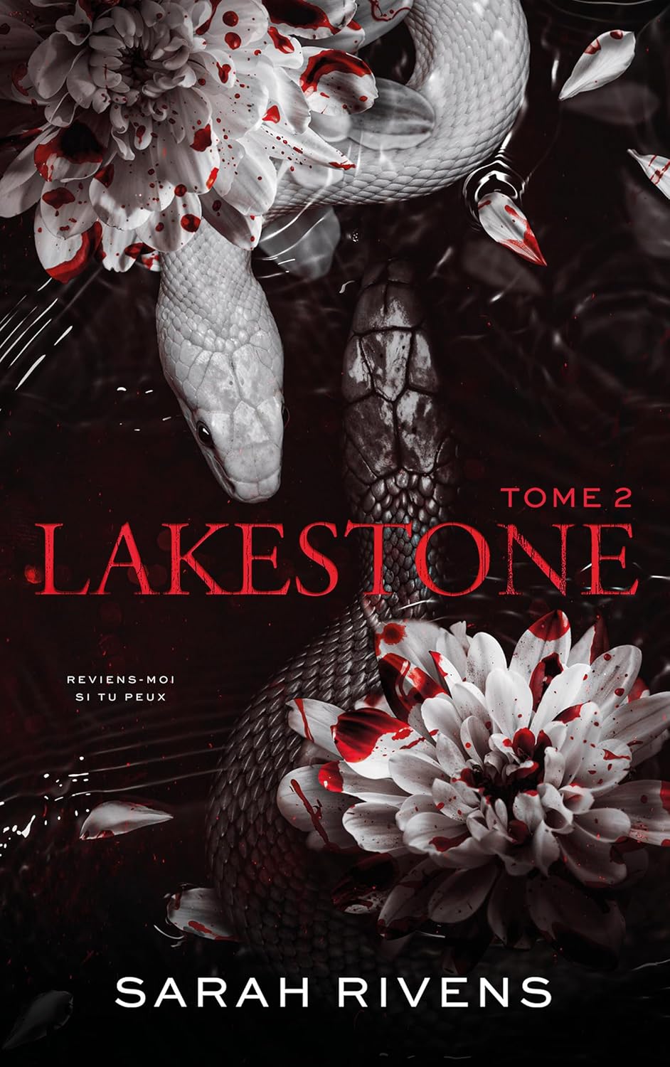 image de couverture du livre Lakestone - tome 2 de Sarah Rivens