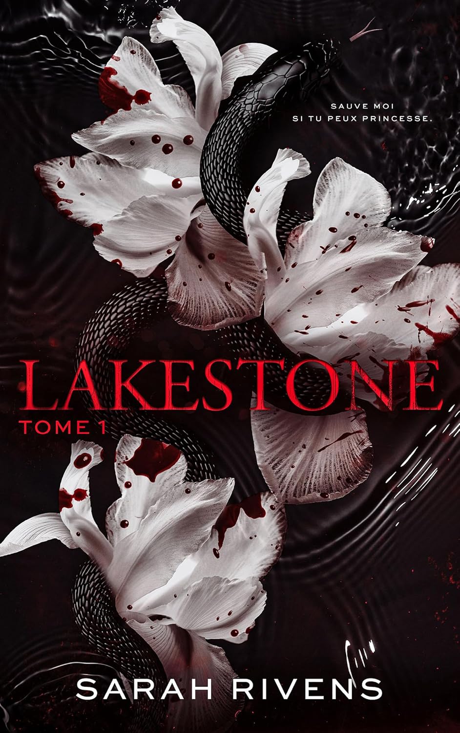 image de couverture du livre Lakestone - tome 1 de Sarah Rivens